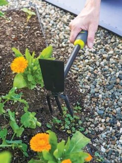 Gardener's 2-in-1 Short Handle Hoe And Cultivator -Garden Supplies Sales 8608657 19474 tif