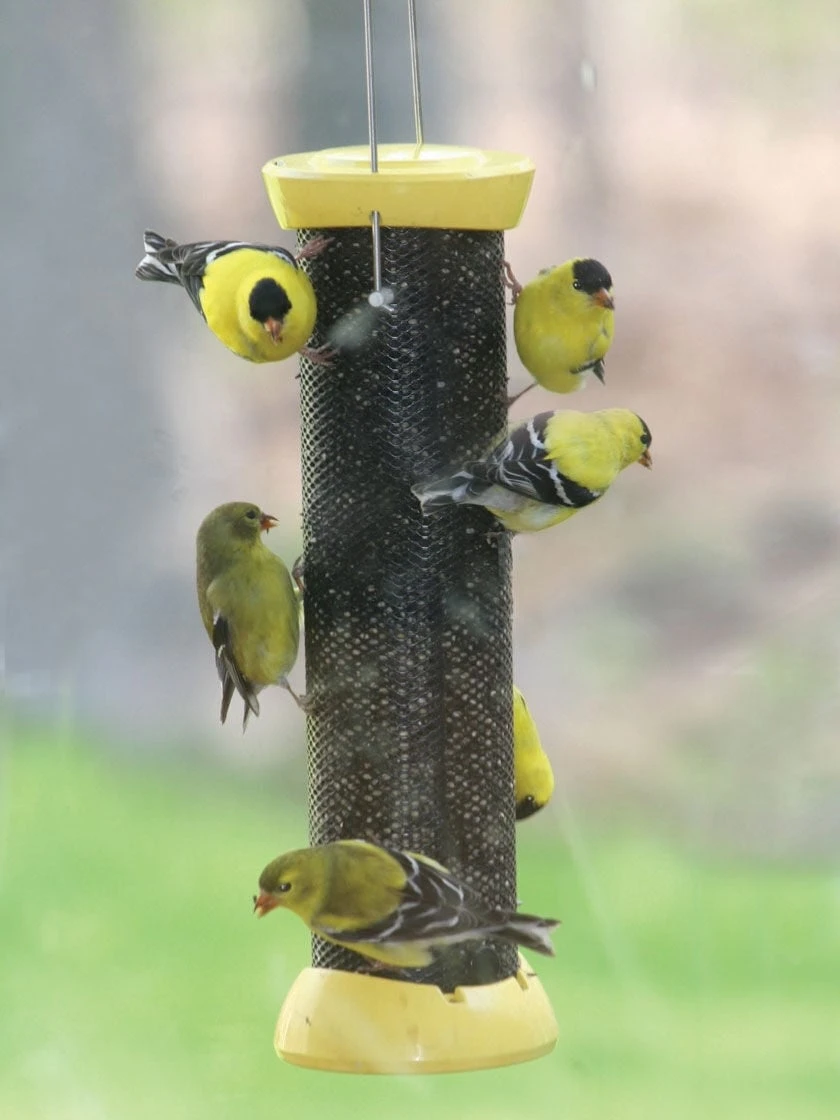 Birds Choice™ Magnet Mesh Clever Clean Nyjer Feeder 18" 3 Birds Choice™ Magnet Mesh Clever Clean Nyjer Feeder 18"