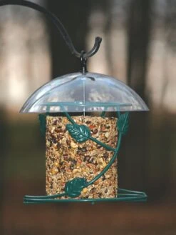 Birds Choice Hanging Seed Cylinder Bird Feeder