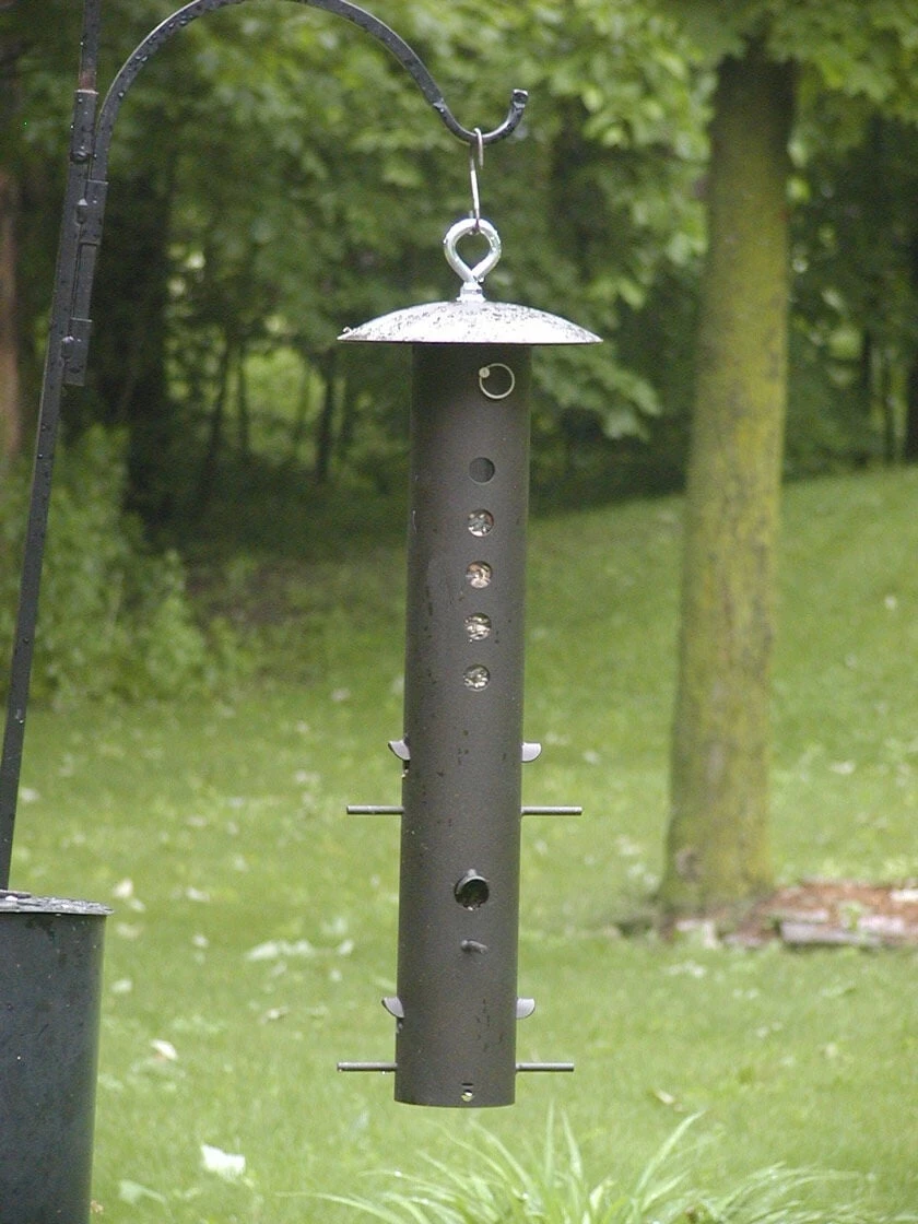 Birds Choice Bear-Proof Feeder 3 Birds Choice Bear-Proof Feeder