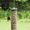 Birds Choice Magnet Mesh Peanut Feeder -Garden Supplies Sales 8608775 01v birds choice magnet mesh peanut feeder