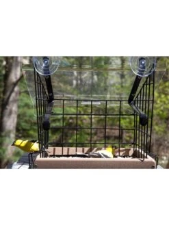 Birds Choice Window Mount Bird Feeder Kits -Garden Supplies Sales 8608818 01v