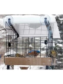 Birds Choice Window Mount Bird Feeder Kits -Garden Supplies Sales 8608818 06v