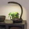 Agrobrite Desktop LED Plant Lamp -Garden Supplies Sales 8608871 0345 tif