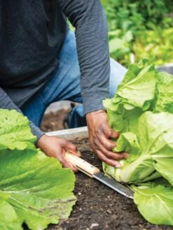 Gardener's Lifetime Hori Hori Knife 8 Gardener's Lifetime Hori Hori Knife -Garden Supplies Sales 8608888 0416 tif