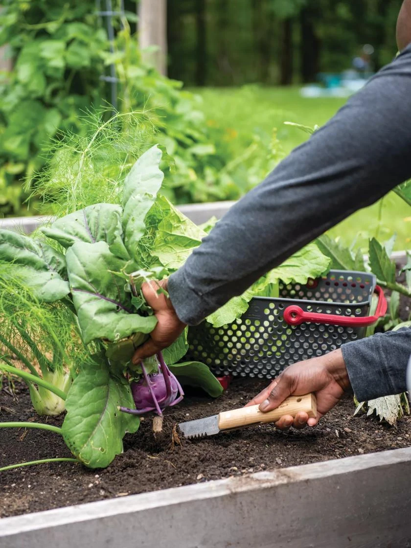 Gardener's Lifetime Hori Hori Knife 5 Gardener's Lifetime Hori Hori Knife - Image 3