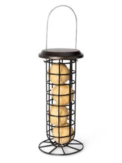 Suet Ball & Feeder Combo Set 9 Suet Ball & Feeder Combo Set -Garden Supplies Sales 8608919 4427
