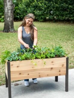 Self-Watering Elevated Planter Box, 2' X 4'