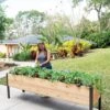 Self-Watering Elevated Planter Box, 2' X 8' 1 Self-Watering Elevated Planter Box, 2' X 8' -Garden Supplies Sales 8608960 4069 tif