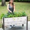 Self-Watering Eco-Stained Elevated Planter Box, 2' X 4' -Garden Supplies Sales 8608961 5040 tif