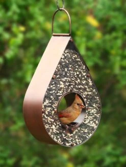 Teardrop Fly-Thru™ Bird Feeder
