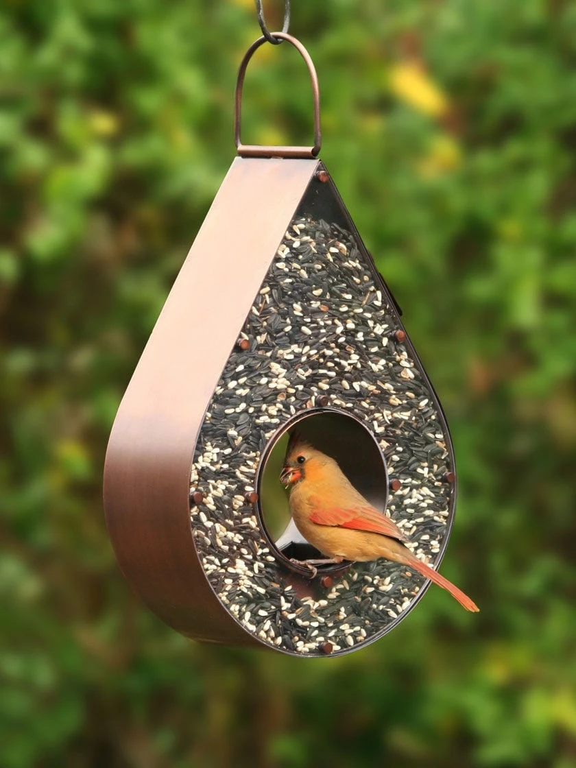 Teardrop Fly-Thru™ Bird Feeder 6 Teardrop Fly-Thru™ Bird Feeder - Image 4
