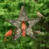 Star Fly-Thru™ Bird Feeder 2 Star Fly-Thru™ Bird Feeder -Garden Supplies Sales 8609057 04v star fly thru bird feeder good directions
