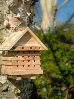 Solitary Bee Hive -Garden Supplies Sales 8609060 08V tif