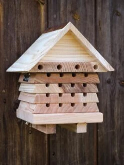 Solitary Bee Hive -Garden Supplies Sales 8609060 09V tif
