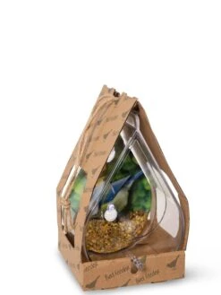 Dewdrop Window Bird Feeder -Garden Supplies Sales 8609061 4444 tif
