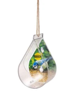 Dewdrop Window Bird Feeder -Garden Supplies Sales 8609061 4447 tif