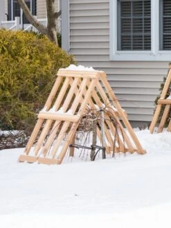 Cedar Shrub Guard -Garden Supplies Sales 8609071 3531 cedar shrub guard