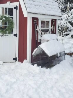 Chicken Wire Crop Coop -Garden Supplies Sales 8609080 03IN tif