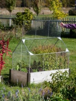 Chicken Wire Crop Coop -Garden Supplies Sales 8609080 4024