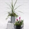 Metal Bucket Planters 1 Metal Bucket Planters -Garden Supplies Sales 8609086 5623 tif