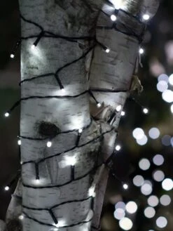 Solar LED String Lights, Lightup125™ -Garden Supplies Sales 8609126 02V tif 1