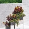 Galvanized Grow Bag Triple Planters With Stand -Garden Supplies Sales 8609180 0346 tif