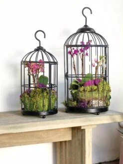 Hanging Birdcage Planter Set -Garden Supplies Sales 8609181 01V tif