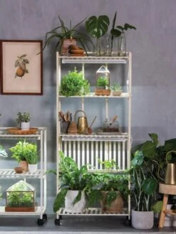 Oslo 4-Tier LED Grow Light Garden 19 Oslo 4-Tier LED Grow Light Garden -Garden Supplies Sales 8609188 4118 tif