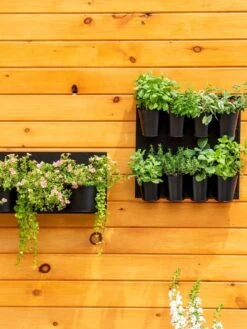 8 Pot Metal Wall Planter -Garden Supplies Sales 8609195 6250 tif