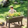 Calipso 3-in-1 Kids Gardening Self-Watering Planter Kit -Garden Supplies Sales 8609217 0333 tif