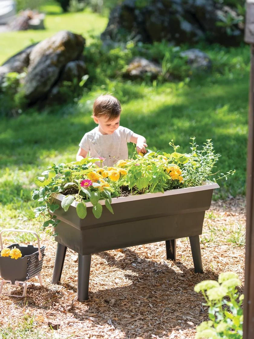Calipso 3-in-1 Kids Gardening Self-Watering Planter Kit 3 Calipso 3-in-1 Kids Gardening Self-Watering Planter Kit