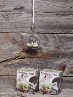 Mini Blown-Glass Hanging Terrarium, Set Of 2 -Garden Supplies Sales 8609218 01v
