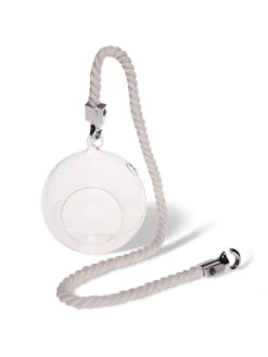 Mini Blown-Glass Hanging Terrarium, Set Of 2 -Garden Supplies Sales 8609218 4734