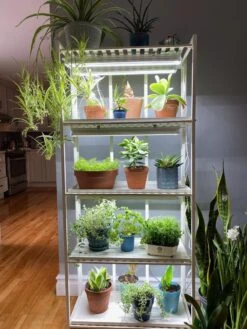 Oslo 4-Tier LED Grow Light Garden 23 Oslo 4-Tier LED Grow Light Garden -Garden Supplies Sales 8609220 03IN tif