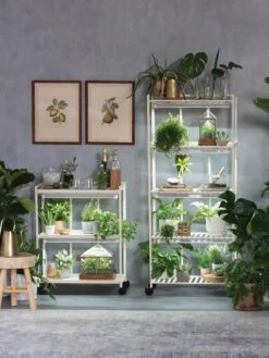 Oslo 2-Tier LED Grow Light Garden, 2 Fixtures -Garden Supplies Sales 8609220 4105 tif