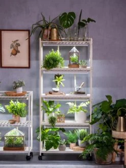 Oslo 4-Tier LED Grow Light Garden 21 Oslo 4-Tier LED Grow Light Garden -Garden Supplies Sales 8609220 4116 tif