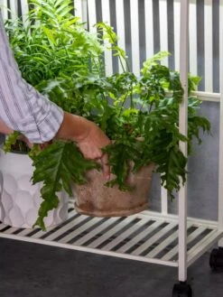 Oslo 2-Tier LED Grow Light Garden, 2 Fixtures -Garden Supplies Sales 8609220 4122 tif