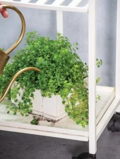 Oslo 2-Tier Plant Stand With Folding Shelves -Garden Supplies Sales 8609220 4137 tif