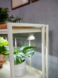 Oslo 2-Tier LED Grow Light Garden, 2 Fixtures -Garden Supplies Sales 8609221 4101 tif