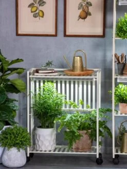 Oslo 2-Tier LED Grow Light Garden, 2 Fixtures -Garden Supplies Sales 8609221 7236 tif