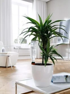 Hydro Wine Container Watering System, Set Of 4 -Garden Supplies Sales 8609224 02V tif