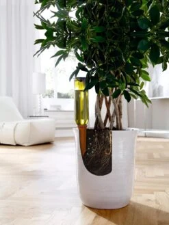 Hydro Wine Container Watering System, Set Of 4 -Garden Supplies Sales 8609224 04V tif