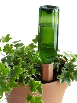 Hydro Wine Container Watering System, Set Of 4 -Garden Supplies Sales 8609224 09V tif