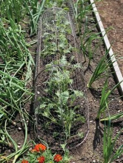 Chicken Wire Row Cloche Expandable Extra Large 3N1 -Garden Supplies Sales 8609412 5903 tif