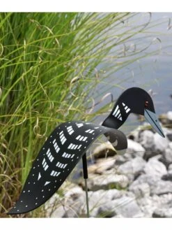 Florida Dancing Birds®, Loon -Garden Supplies Sales 8609443 01V 3 4