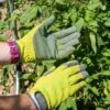 Garden Works Artisan™ Gloves -Garden Supplies Sales 8609445 0364 tif