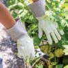 Garden Works Mid Cuff™ Gloves -Garden Supplies Sales 8609447 0118 tif