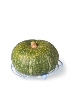 Melon And Squash Cradles, Set Of 6 -Garden Supplies Sales 8609464 5204 tif