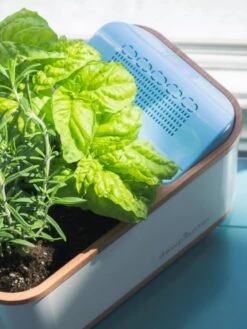 Dewplanter -Garden Supplies Sales 8609512 04V